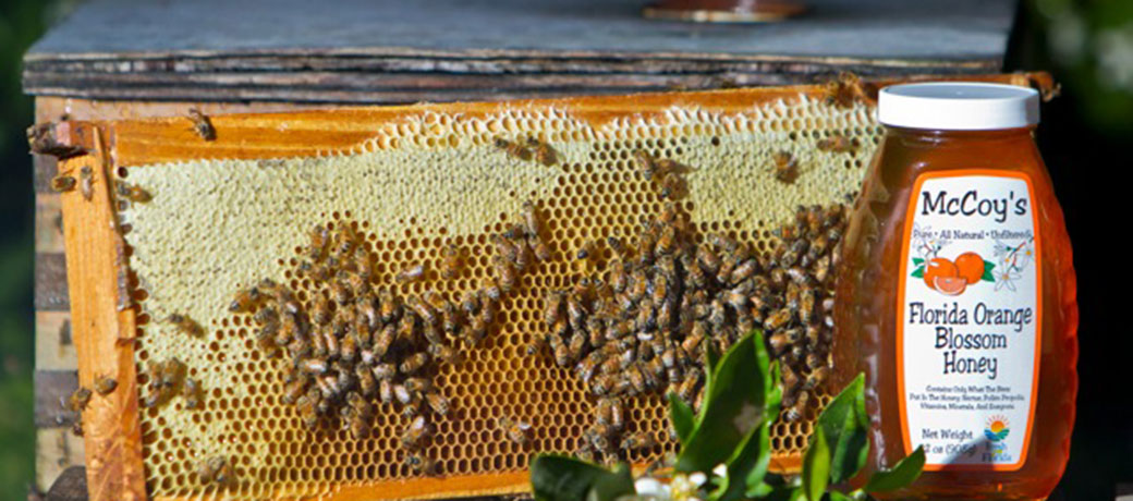 Honey