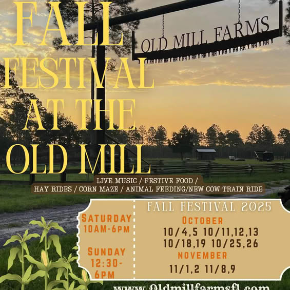 2025 Family Fall Festival